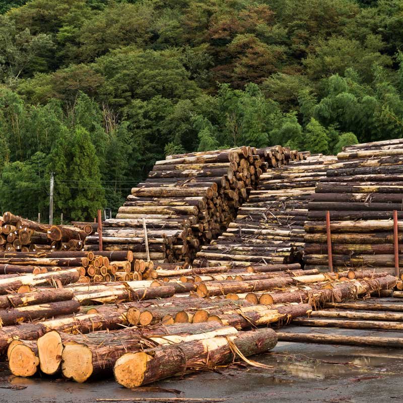 Madeira e MDF